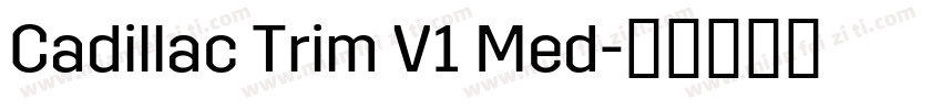 Cadillac Trim V1 Med字体转换